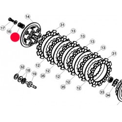 Molla Frizione Beta Evo-Rev 04-17